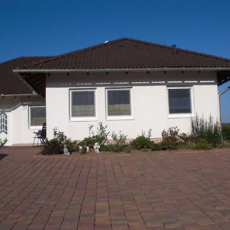 Ferienwohnung Schoene Aussicht Diemelsee Exterior photo