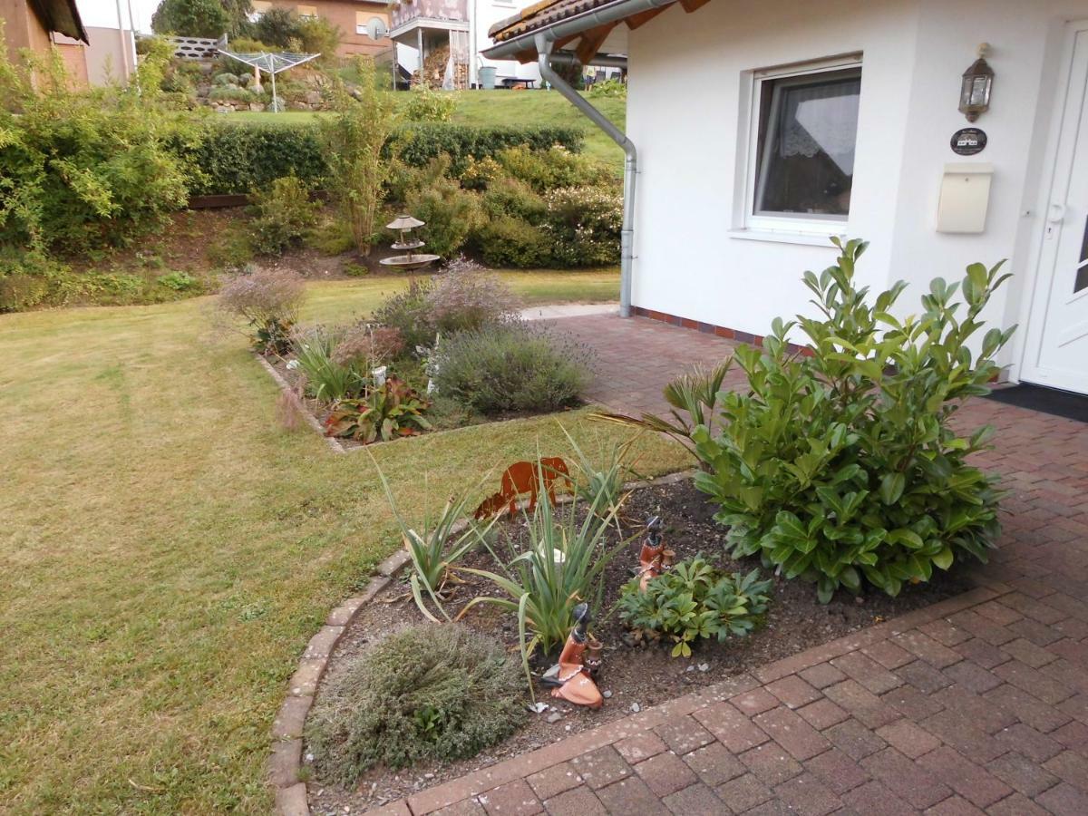 Ferienwohnung Schoene Aussicht Diemelsee Exterior photo
